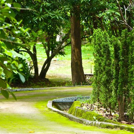 Golden Teak Homestay Mae Rim Bagian luar foto