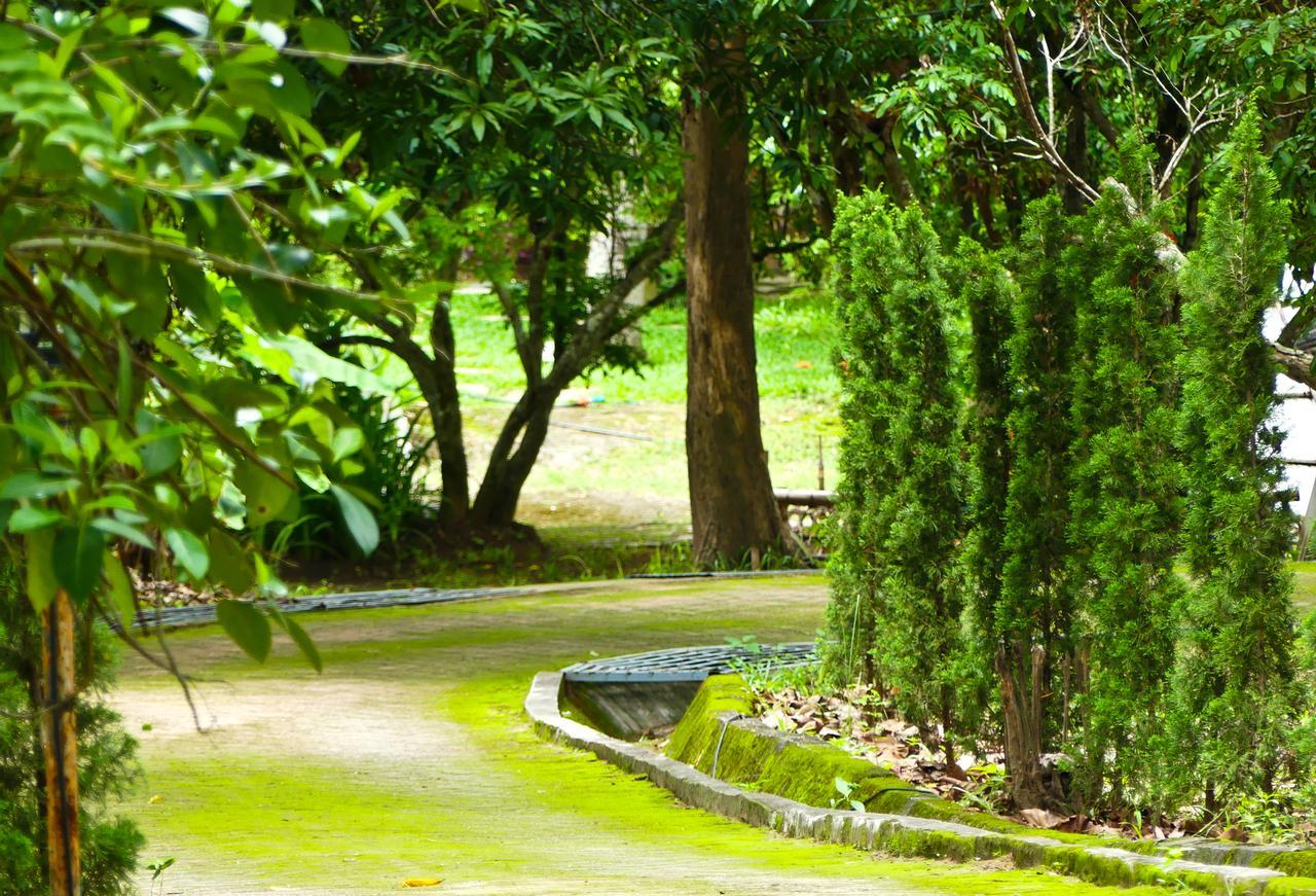 Golden Teak Homestay Mae Rim Bagian luar foto
